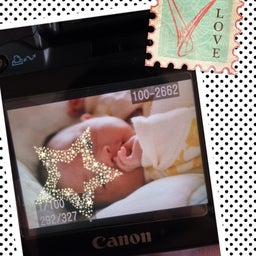 photo:02