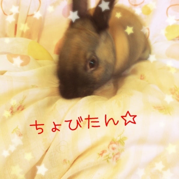 今日の1枚☆の記事画像