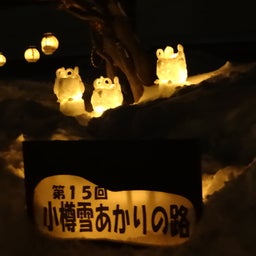 画像 小樽雪あかりの路15 の記事より 2つ目