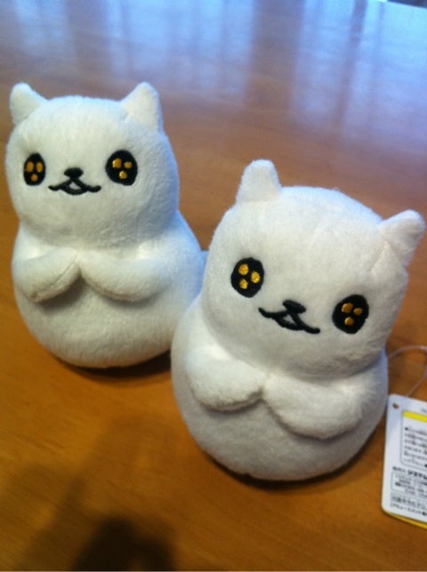 はこいりねこ I Pr