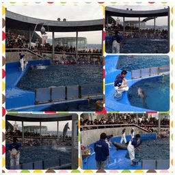 photo:03