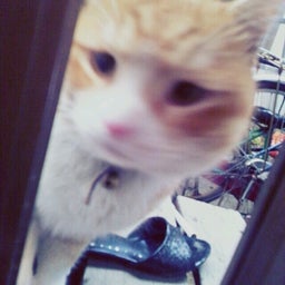 画像 ♥2013.02.18.MON♥ の記事より