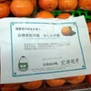 福島県会津若松産の柿のセシウム。の画像
