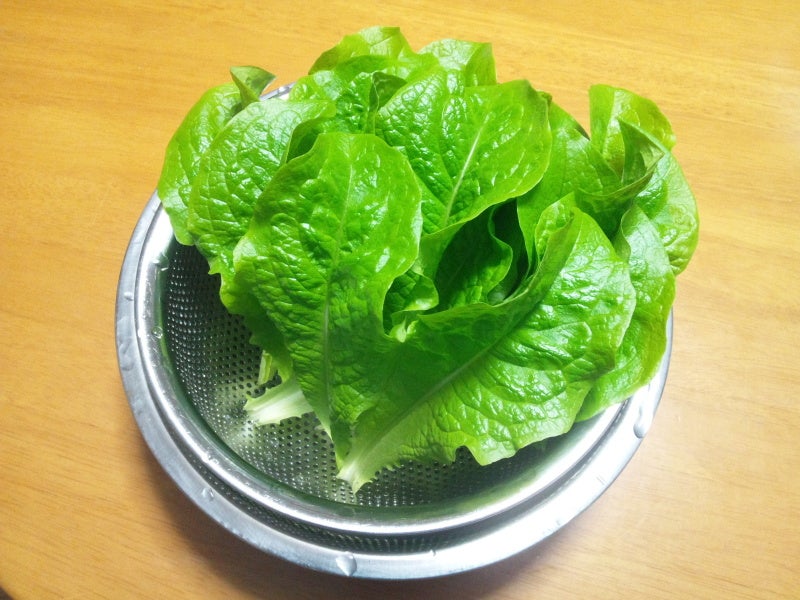 サンチュの収穫と新しい野菜の種ｇｅｔ Miyuのベランダ菜園 シュリンプブログ
