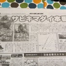 兵庫県 飾磨須加公共岸壁　家島諸島・小豆島　知々丸　鯛釣り　2013年3月上旬の記事より