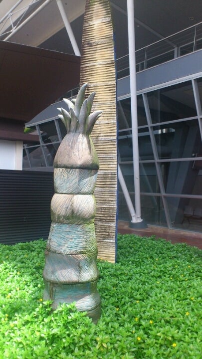 COSTUS WOODSONII (別名レッドボタン・ジンジャー)の記事画像