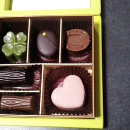 ayame's  blog*
