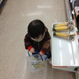 photo:01