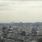 江戸川区の船堀タワー115メートルからの東京スカイツリーの記事より