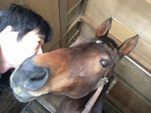 小島良太オフィシャルブログ「馬なりぃ」Powered by Ameba