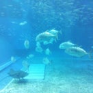 修学旅行in沖縄♡３日目の記事より