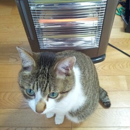 画像 おめでとぅぅぅ！！☆ TT の記事より