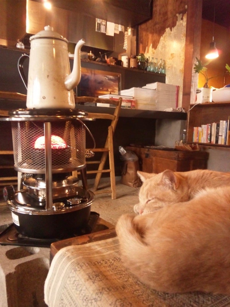 Today's pleasure　〜猫のいるカフェ〜の記事より