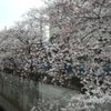 母校の画像