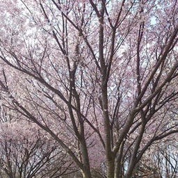 メイクアップソリューション ブログ