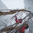 日高山脈大縦走【残雪期】トッタベツ岳　巨大クレバス落下の恐怖の記事より