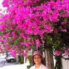 バンコクは花盛りの画像