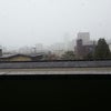 またまた雪の画像