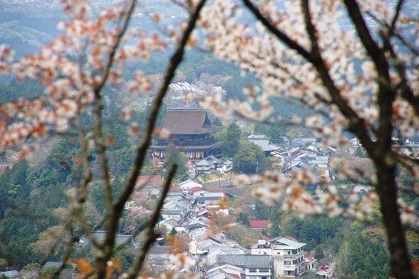 Ｒｉｓａｎ　四季写真　と　合間の農作業-吉野山桜17