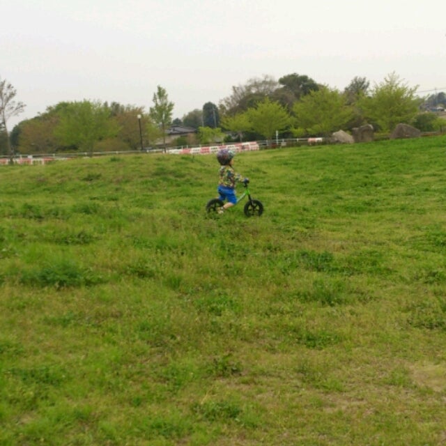 ストライダーの記事画像