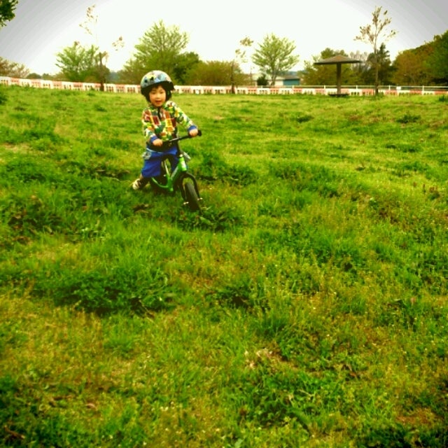 ストライダーの記事画像