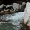中津川、仁淀川水系の画像
