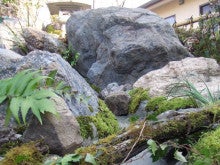 Landscape  Gardener ＝ 熊本庭師　 植木屋  八代  上野庭園 . &amp; .合同会社 庭園Uenoのブログ