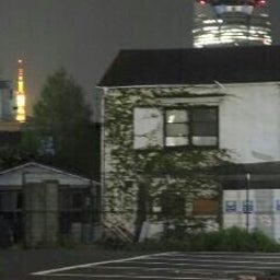 投稿写真