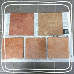 画像 打ち合わせ＊スイッチのこ  と の記事より 5つ目