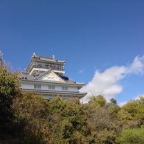 ブログ投稿画像