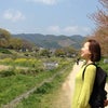 春の京都　河合神社・下鴨神社・晴明神社の画像