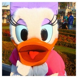 photo:01