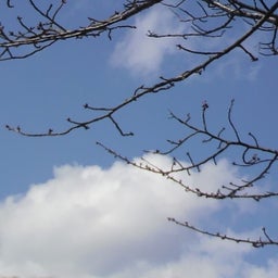 2013042212280000.jpg