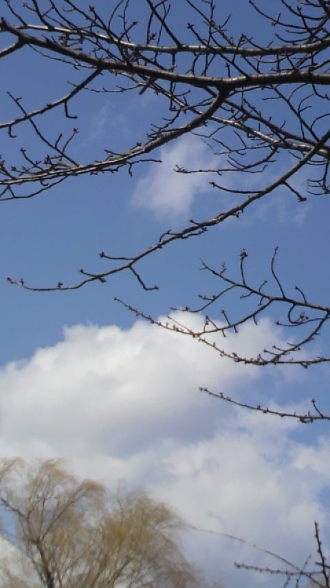 2013042212280000.jpg