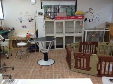 $★ﾄﾘﾐﾝｸﾞ＆ﾍﾟｯﾄﾎﾃﾙ★ Dog Salon ＷａｎBａｂ　ﾄﾞｯｸﾞｻﾛﾝ わんばぶ   川口 安行・鳩ヶ谷
