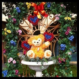 photo:06