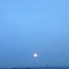 STATEMENTの画像