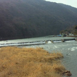 まんまさんのお気楽ﾌﾞﾛｸﾞ-2013031614500000.jpg