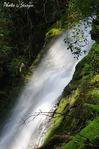 $清流の森　～九州の滝と風景～