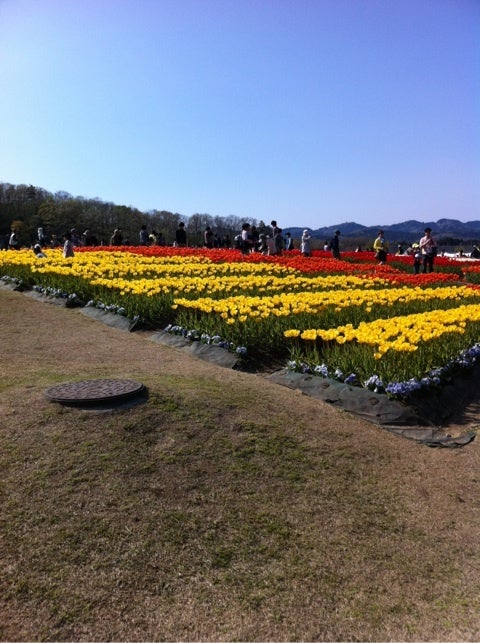 photo:01