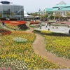 新潟ふるさと村にて。の画像