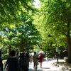上野・谷中散歩の画像
