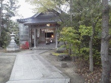 真榊 マサカキ を挿し木で増やすには 羽黒神社宮司のブログ