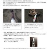 5/12(日)竹田城址へ行きました。あとヒル対策のお話。の画像