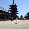 奈良興福寺の画像