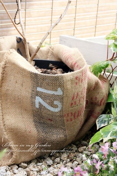コーヒーの麻袋で Bloom In My Garden ココロにおいしい庭づくり ガーデニングブログ