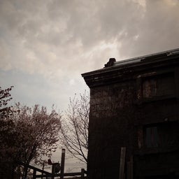 画像 SAKURA散歩2013_③小樽 の記事より 10つ目