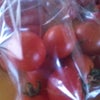 ★初収穫★・・・中玉トマトの画像