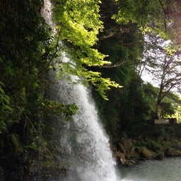photo:03