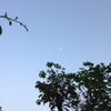 キツかったの画像